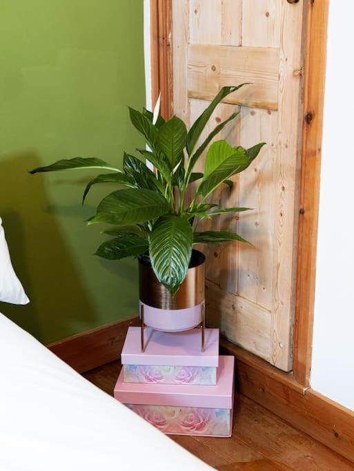 Cosy Cottage In Central Reading Free Parking & Fast Wifi Экстерьер фото